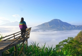 kintamani